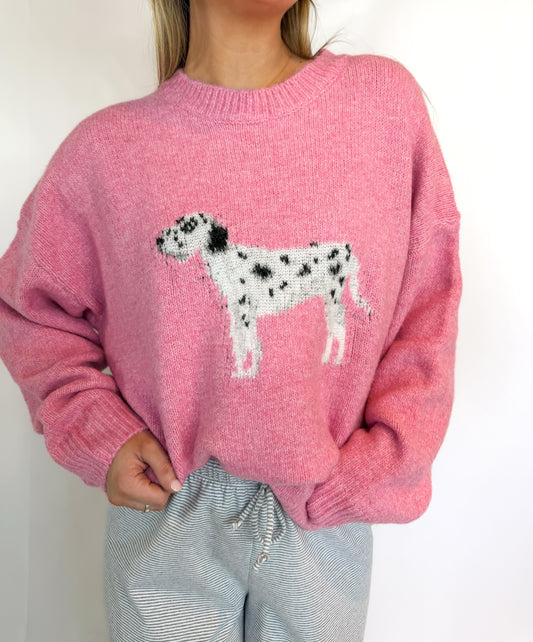 Person wearing a pink sweater with a dalmatian dog design on a white background