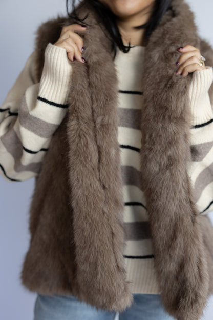 All Likelihood Fur Vest