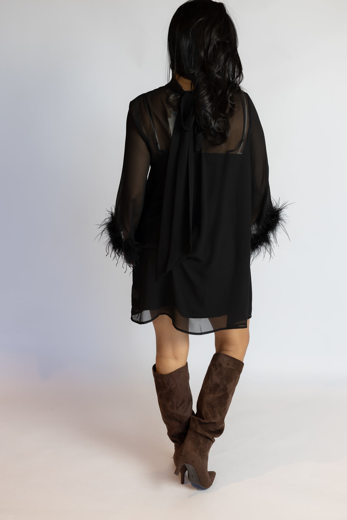 Harley Feather Trim Dress