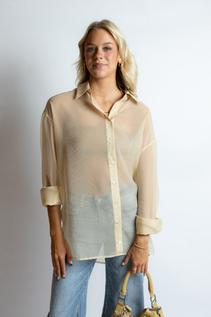 Someday Silky Organza Blouse