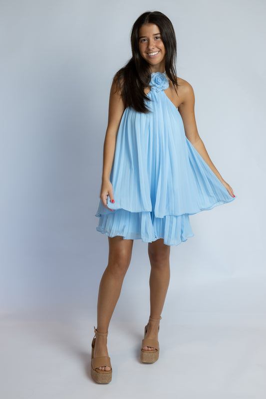 Juliette Floral Pleated Mini Dress