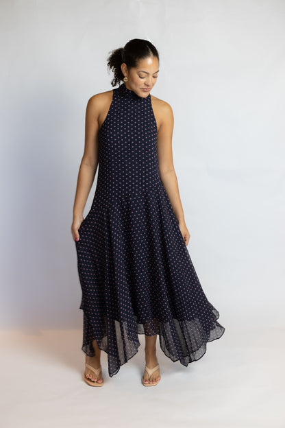 Tiana Polka Dot Maxi Dress