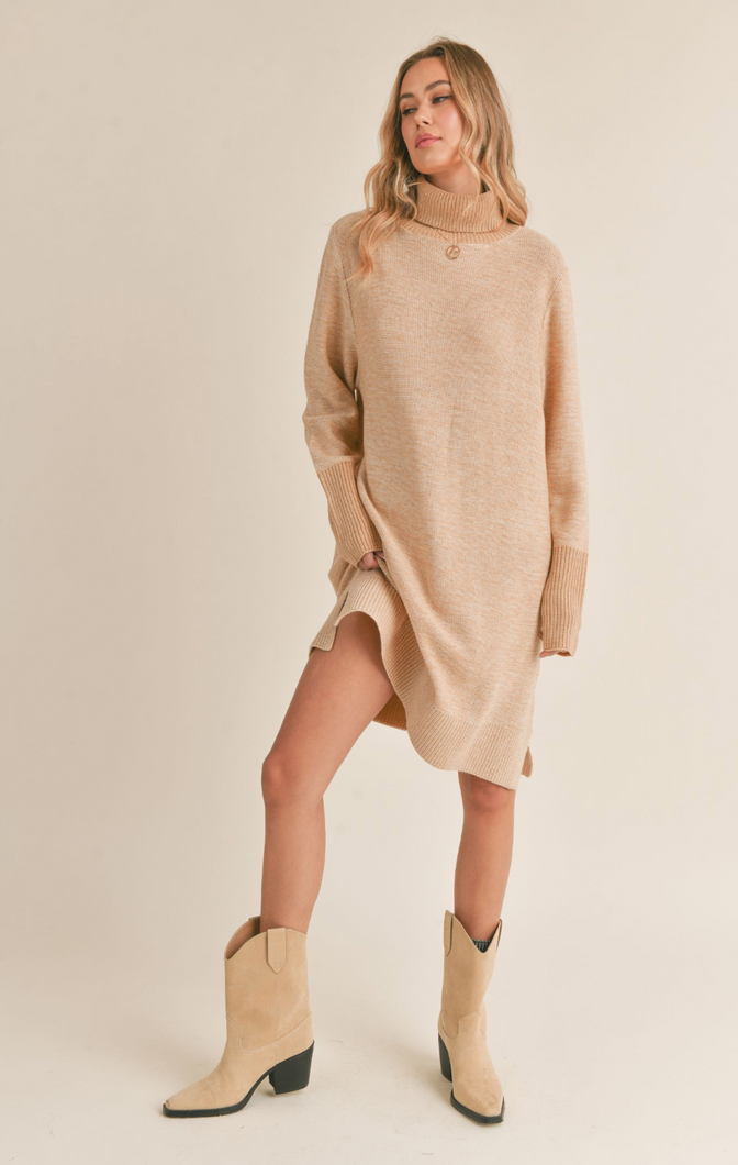 Mika Turtleneck Sweater Dress