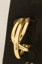 Load image into Gallery viewer, Looking At Me Oval Earrings
