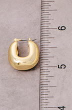 Load image into Gallery viewer, Sure Thing Hoop Earrings