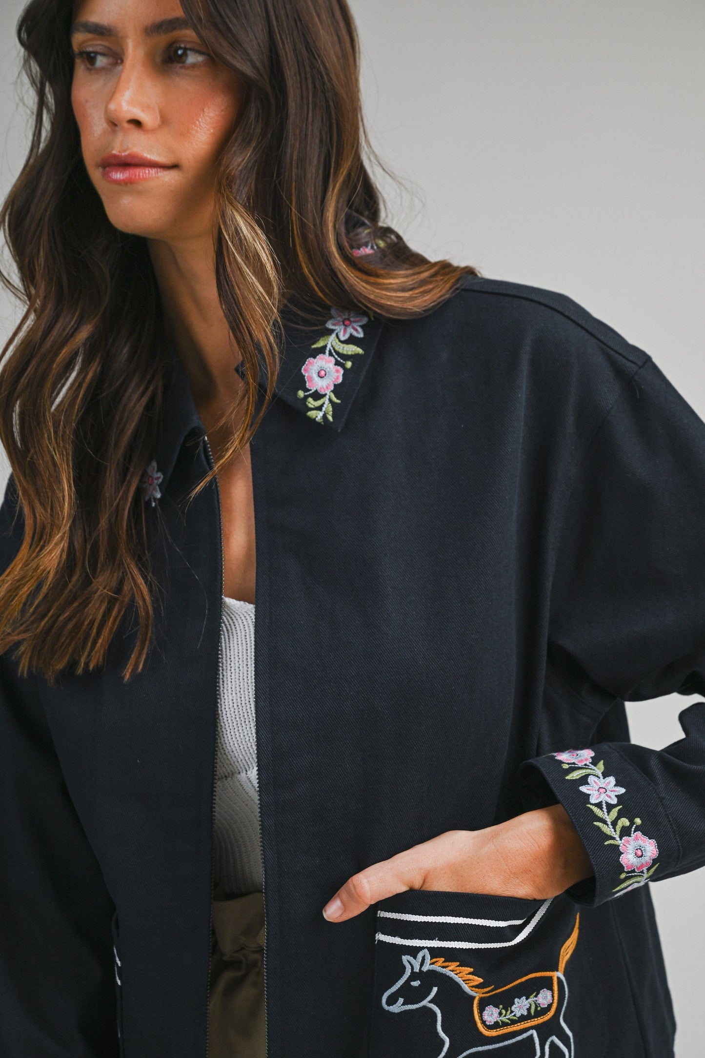 High Plains Embroidered Jacket