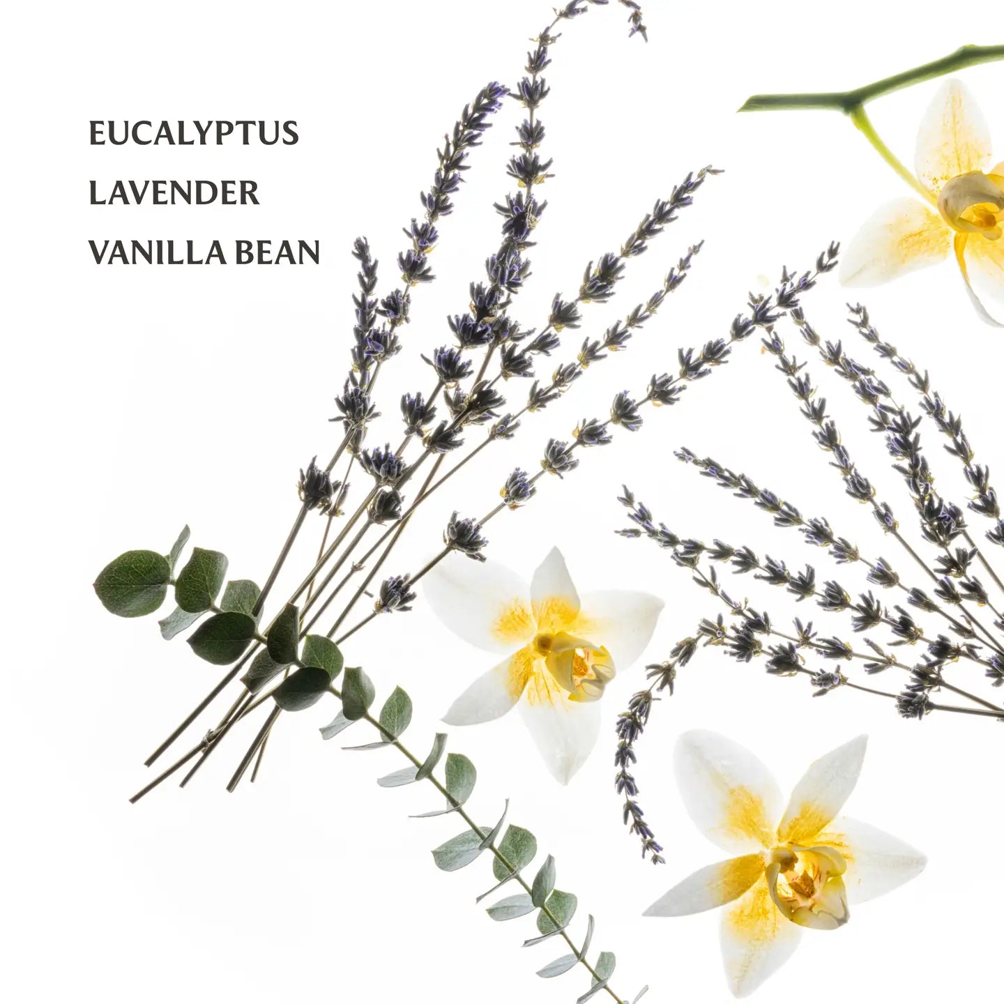 Power Mist Hydrating Hand Sanitizer Pure Lavender