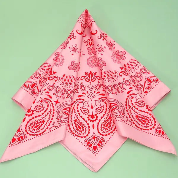 Pretty In Paisley Scarf