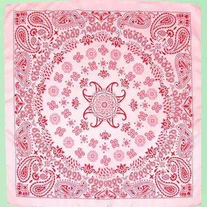 Pretty In Paisley Scarf