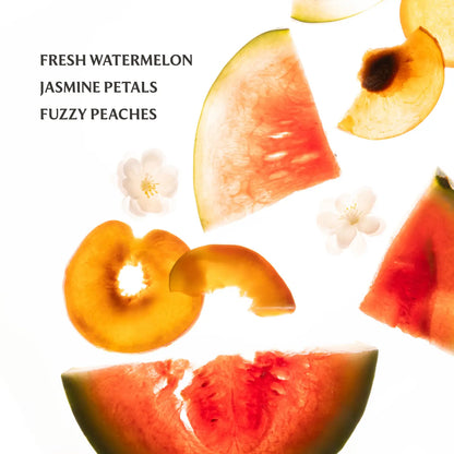 Power Mist Hydrating Hand Sanitizer Wild Watermelon