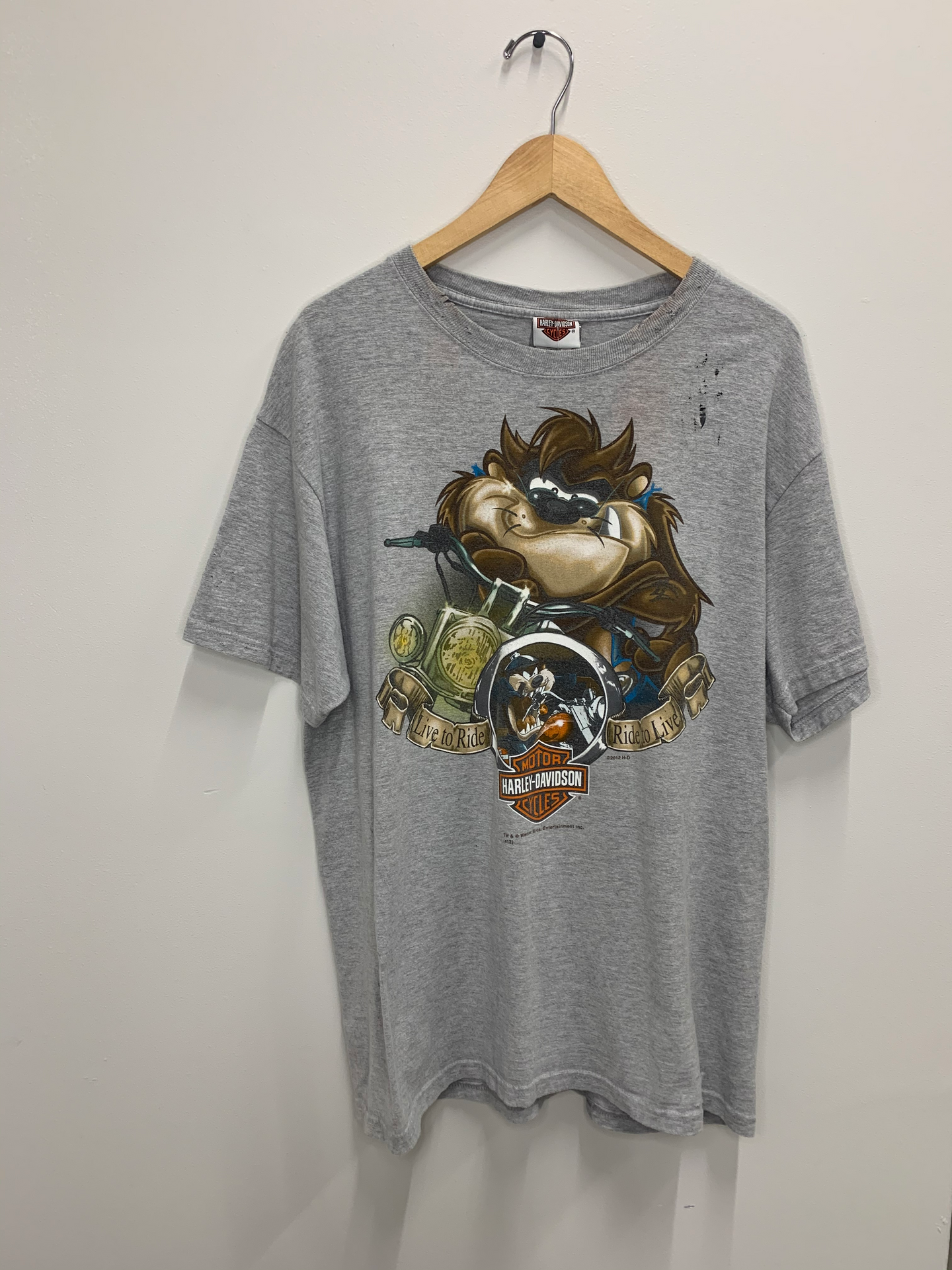 Distressed Hills Harley Davidson Tee