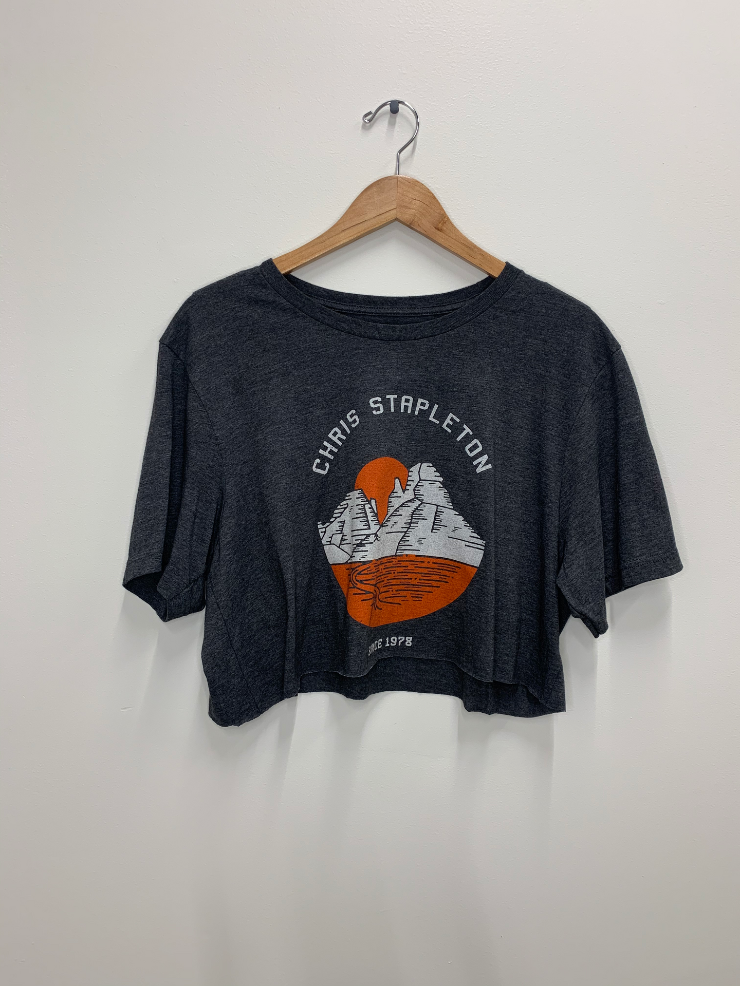 Chris Stapleton Crop
