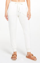 Load image into Gallery viewer, Evalyn Velour Jogger Pant