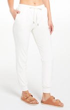 Load image into Gallery viewer, Evalyn Velour Jogger Pant