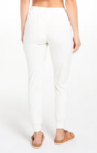 Load image into Gallery viewer, Evalyn Velour Jogger Pant
