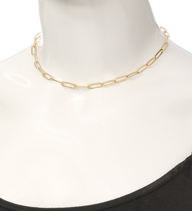 Clipped It Necklace