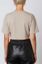 Load image into Gallery viewer, Day To Day Tee Stone