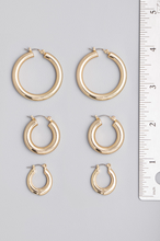 Load image into Gallery viewer, The Hooch Earring Set