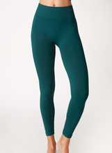 Load image into Gallery viewer, Must Have Leggings Teal