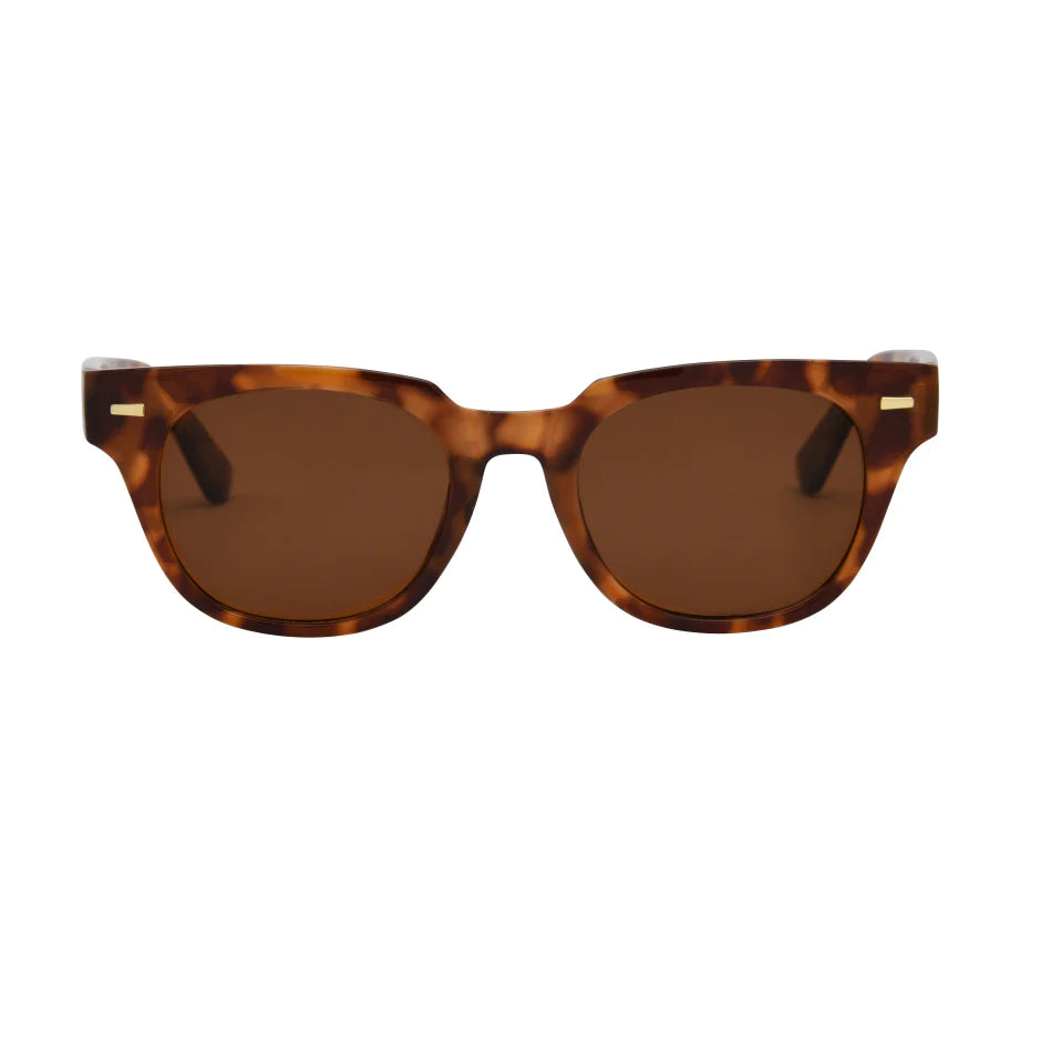 Lido Sunnies Tort/Brown